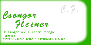 csongor fleiner business card